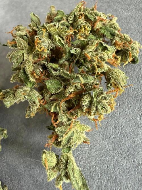 Keksiiiiii. Week 12