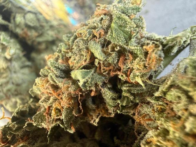 Fume-Pop. Week 11