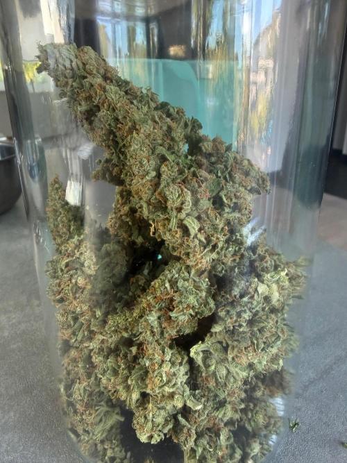 Fume-Pop. Week 11