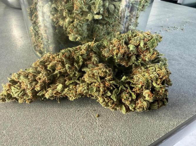Fume-Pop. Week 11