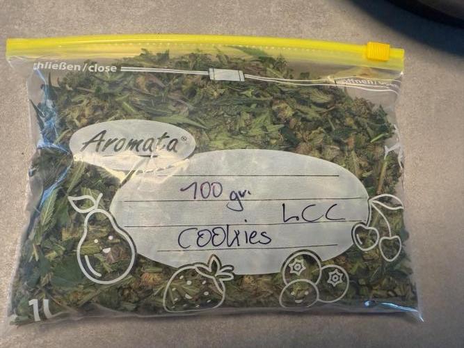 Cool Cookies. Week 12