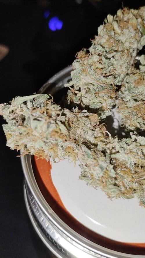 Orange President Auto by Fast Buds