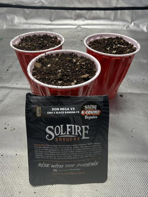 The Don Mega F1 v2 - Solfire. Week 0 - 3x planted