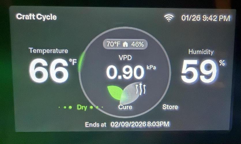 Solfire Variety, Fall/Winter 2025-6. Week 20 - VCure drying cycle!