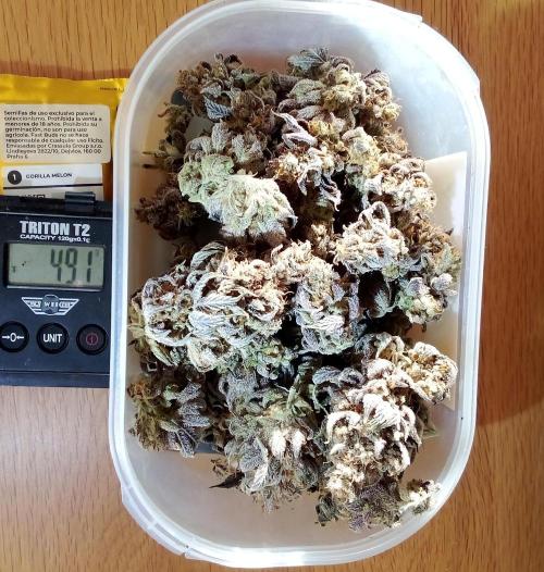 fruity winter. Week 10