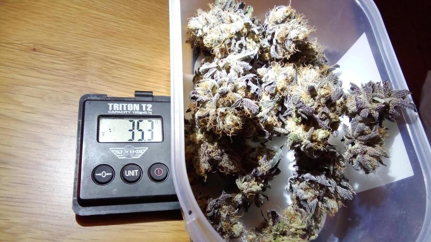 fruity winter. Week 10