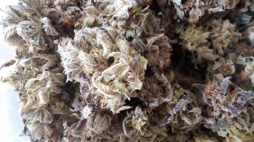 fruity winter. Week 10