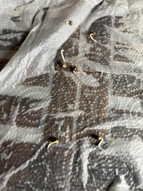 new caledonia and dinachem malawi sog. Week 0