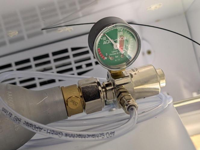 DOPE SEEDS BlackZesty in Frankenfridge. Week 10 - CO2 level of bottle
