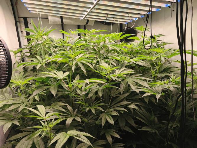 White Inferno. Week 5