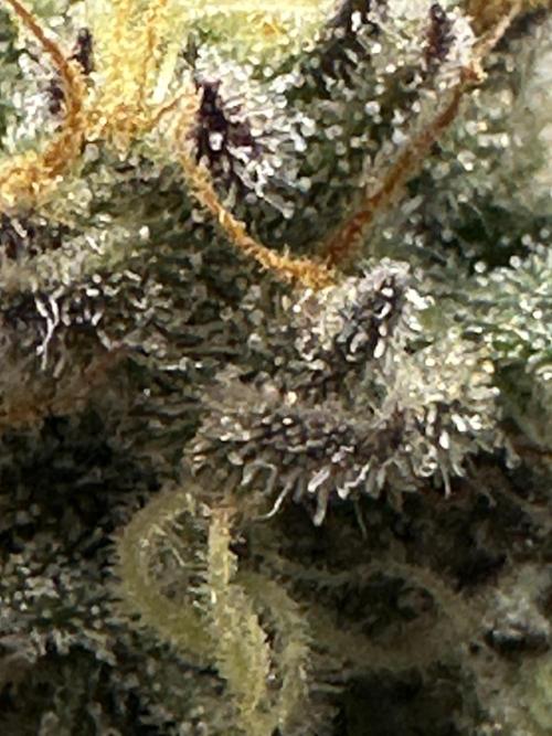 Permanent Marker. Week 19