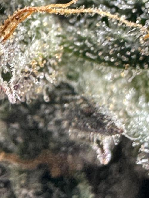 Permanent Marker. Week 19