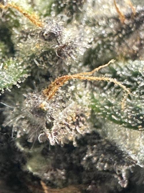 Permanent Marker. Week 20