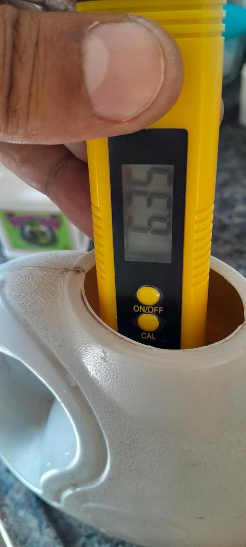 Uma novidade antes do verão chegar.. Week 5