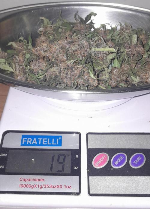 Que venha uma cor linda !. Week 11