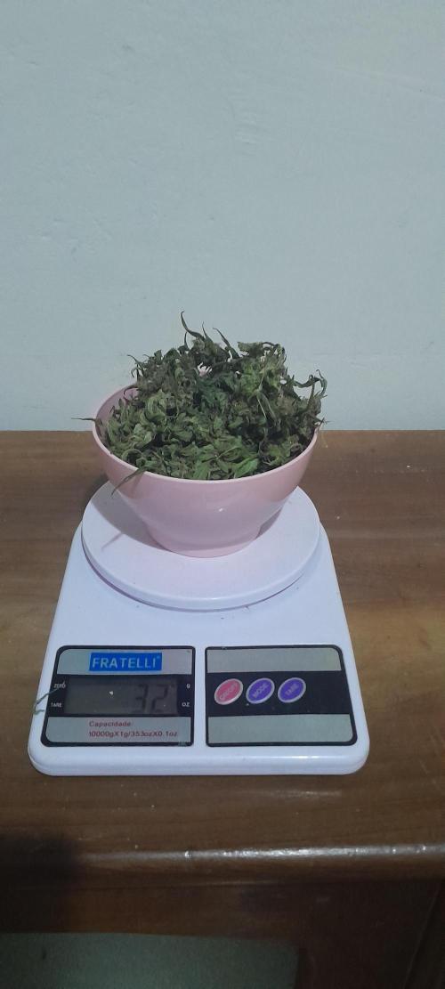 Uma novidade antes do verão chegar.. Week 11