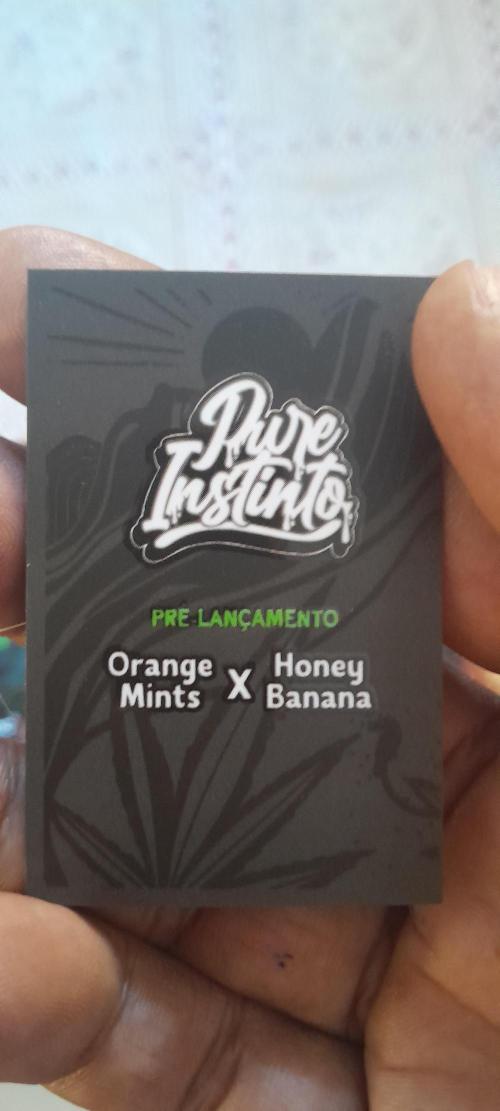 Ainda nem sei como se chama essa !!!. Week 0