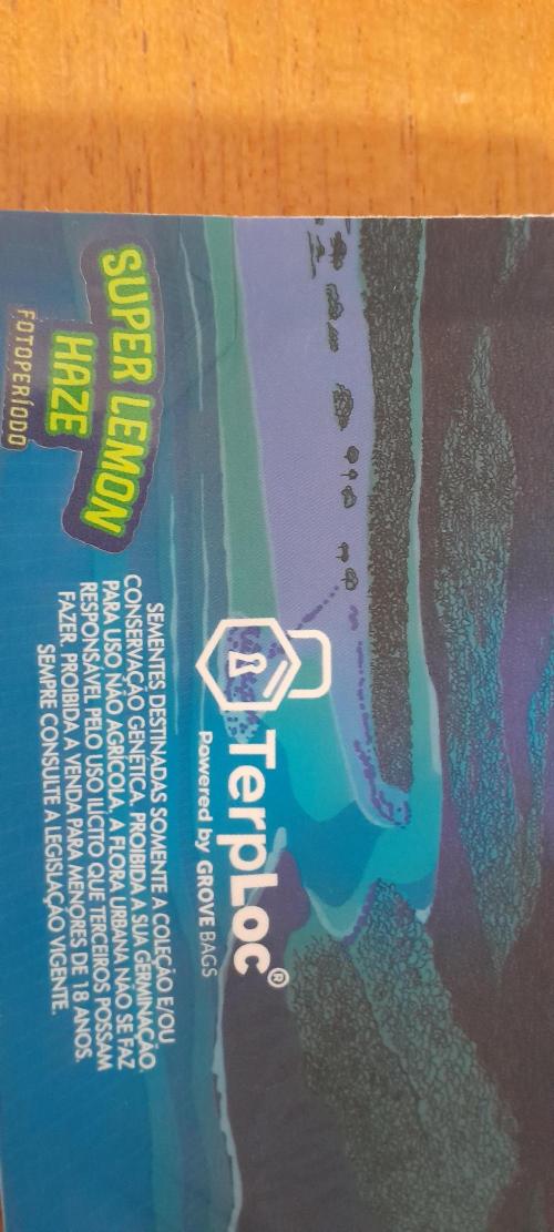 Super Lemon Haze- 6 pés.. Week 0