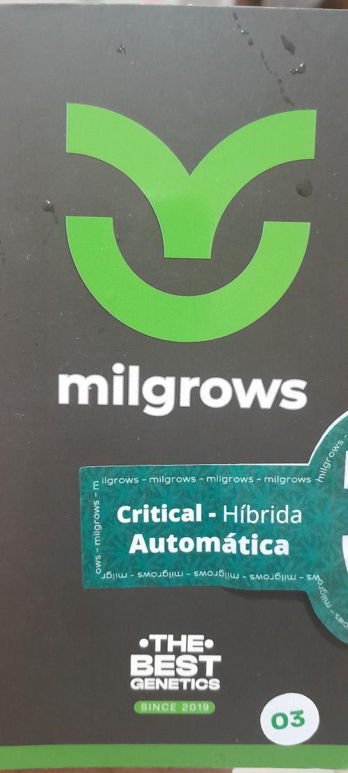 Milgrows Critical Auto. Week 0