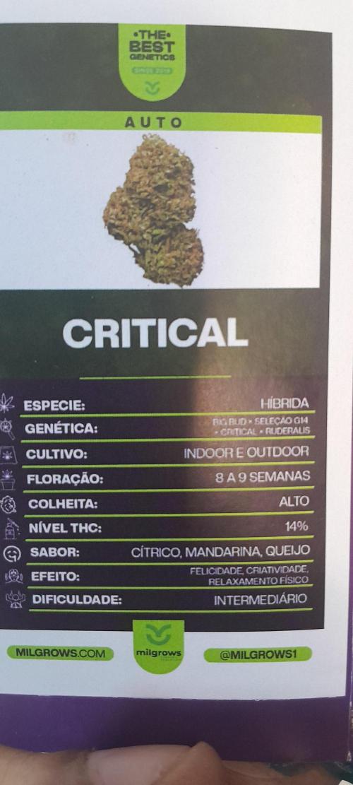 Milgrows Critical Auto. Week 0