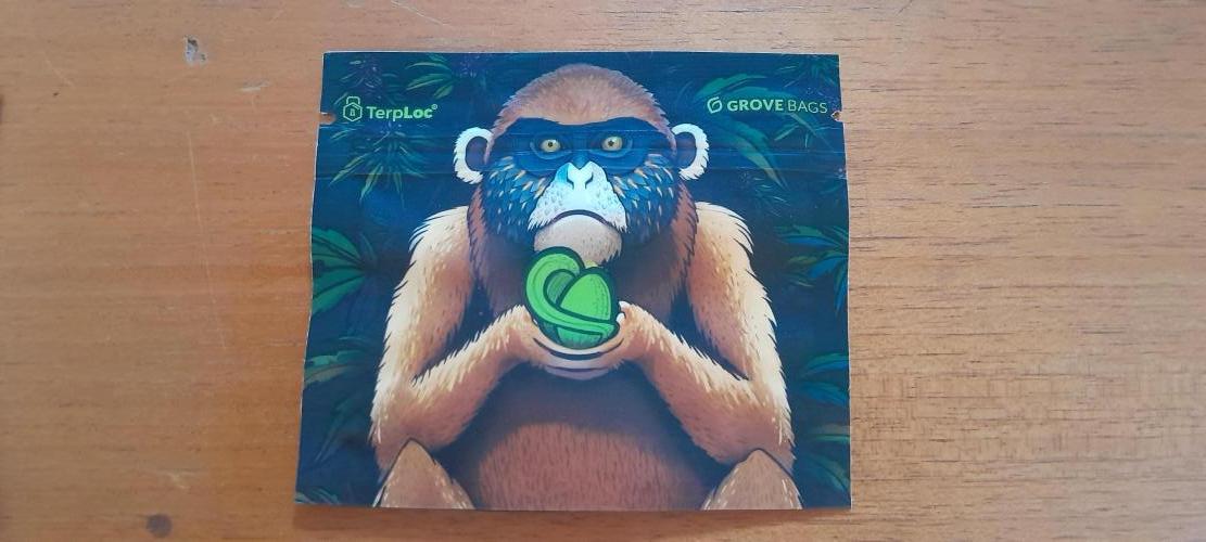 Umas variedade das antigas !. Week 0