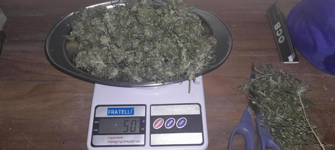 Super Silver Haze - 6 Pés. Week 14