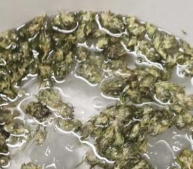 planting a tree - Outdoor 2025. Week 32