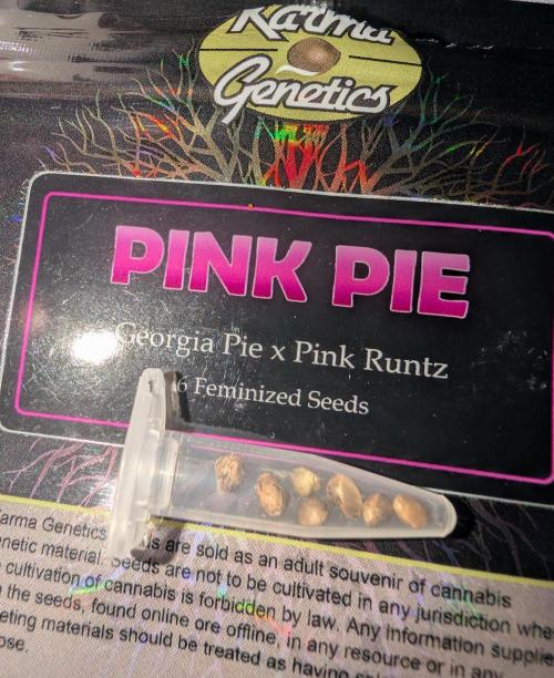 Chase the pie. Week 0