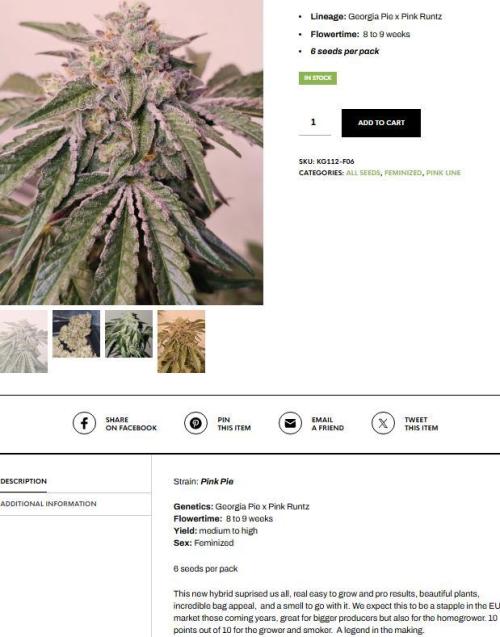 Chase the pie. Week 0