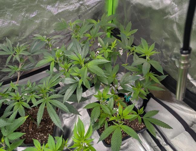 here we go again. Week 1 - 12/19