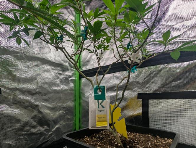 here we go again. Week 1 - 12/19