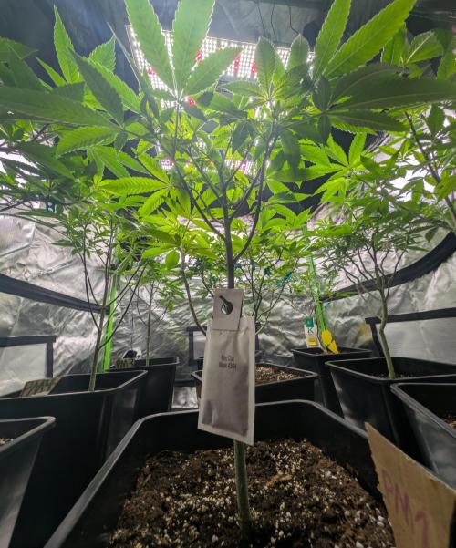 Lindas Marker #1 - #4. Week 11 - #1