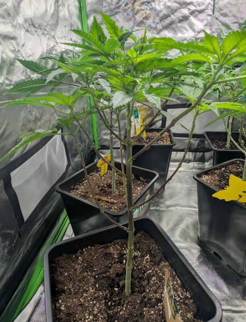 Lindas Marker #1 - #4. Week 11 - #3