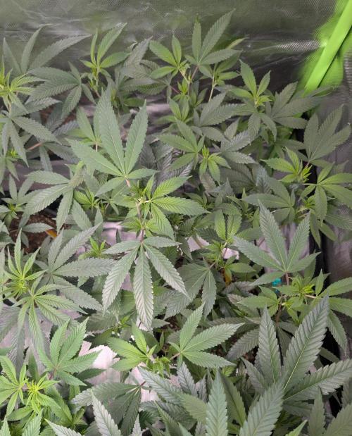 here we go again. Week 2