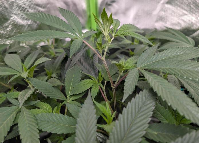 here we go again. Week 2