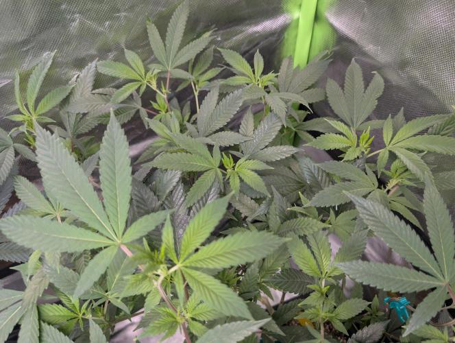 here we go again. Week 2