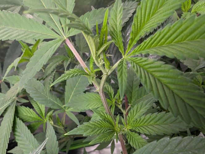 here we go again. Week 2