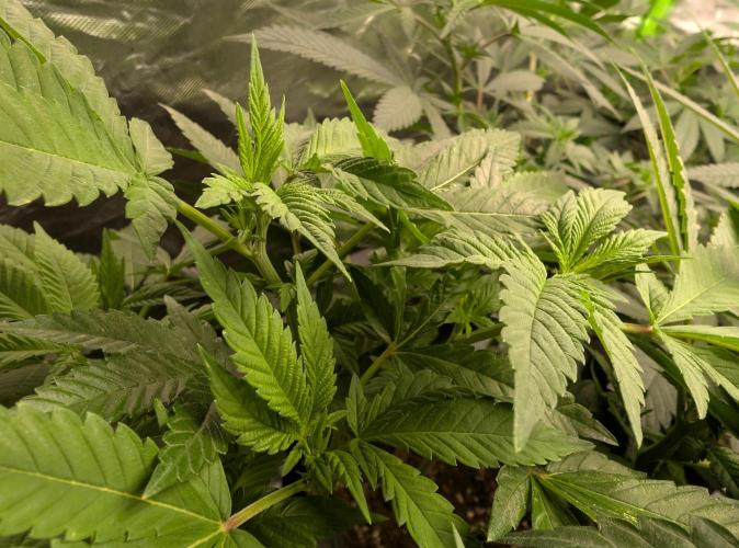 Lindas Marker #1 - #4. Week 12 - #3