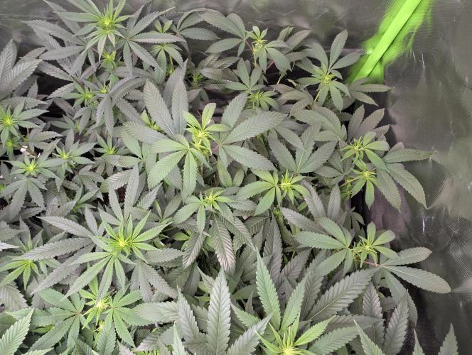 here we go again. Week 3