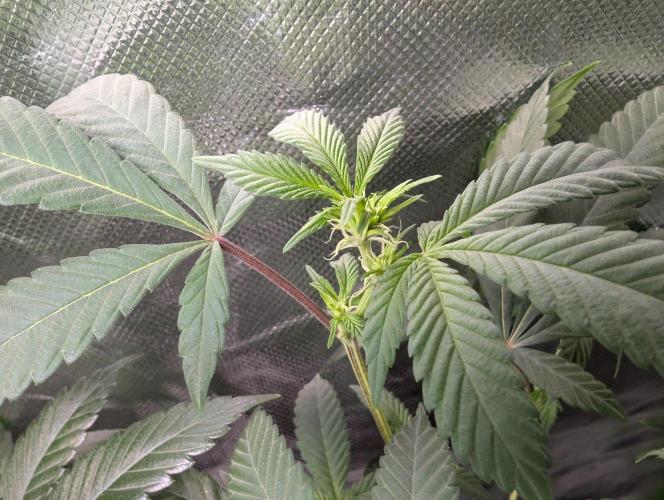 here we go again. Week 3