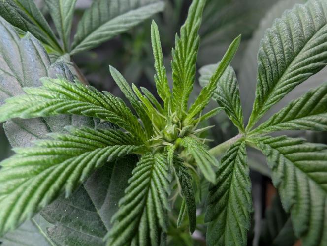 here we go again. Week 3