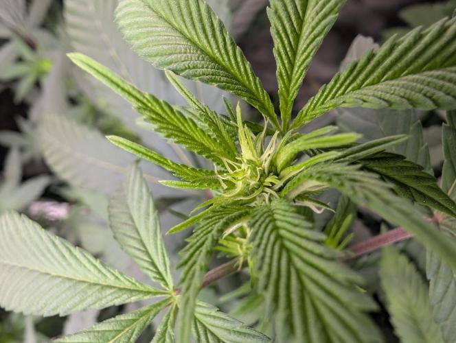 here we go again. Week 3