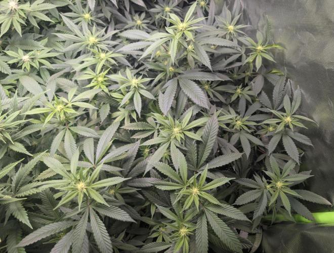 here we go again. Week 4