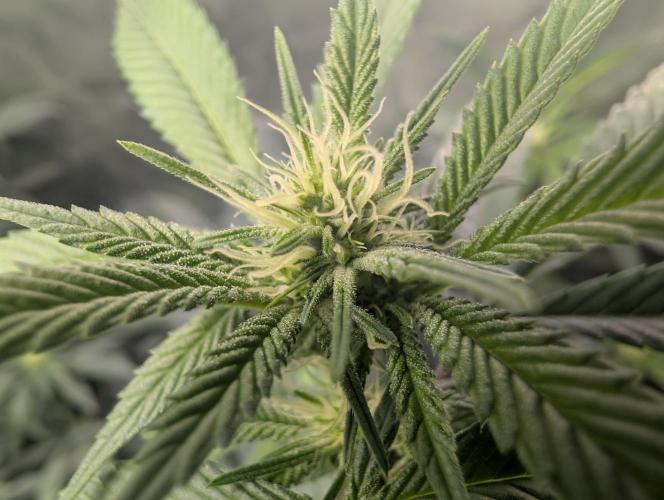 here we go again. Week 4