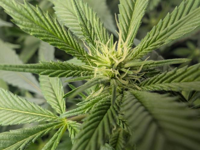 here we go again. Week 4