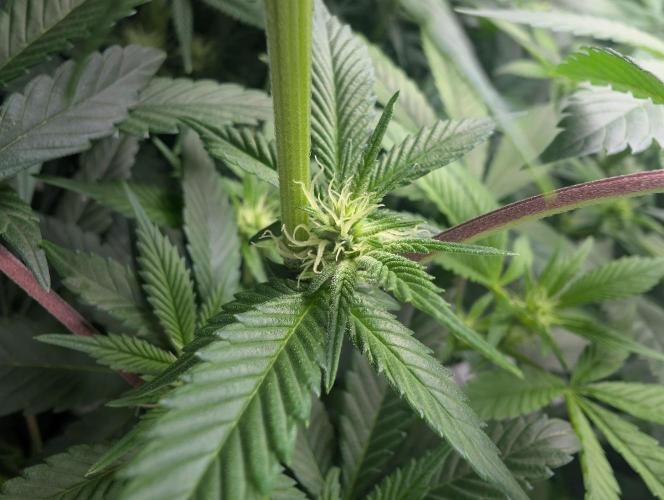 here we go again. Week 4