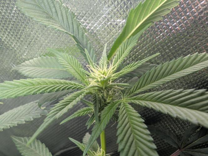 here we go again. Week 4