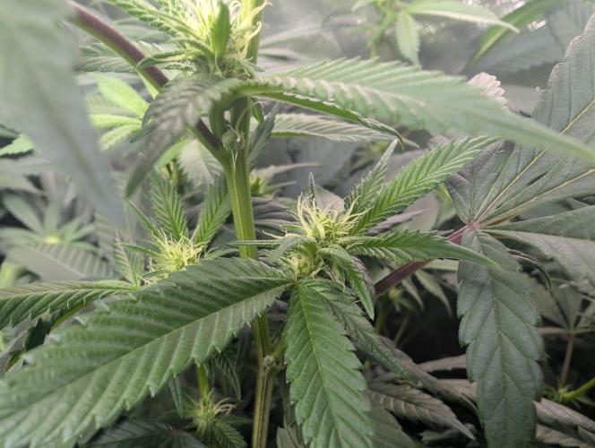 here we go again. Week 4