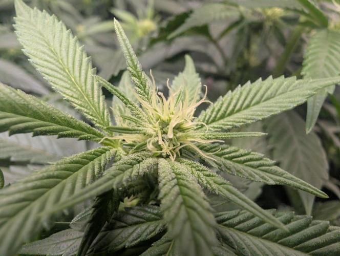 here we go again. Week 4