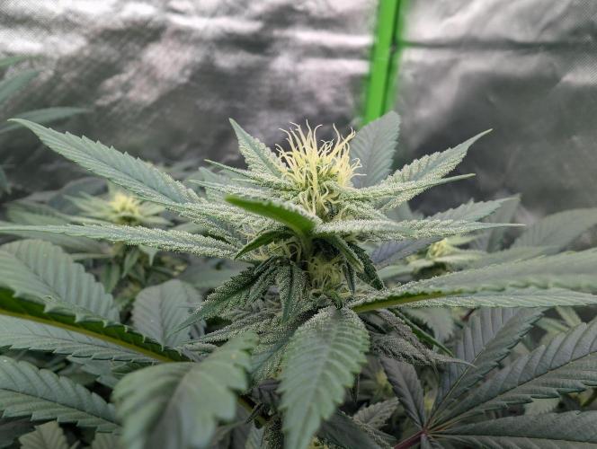 here we go again. Week 5